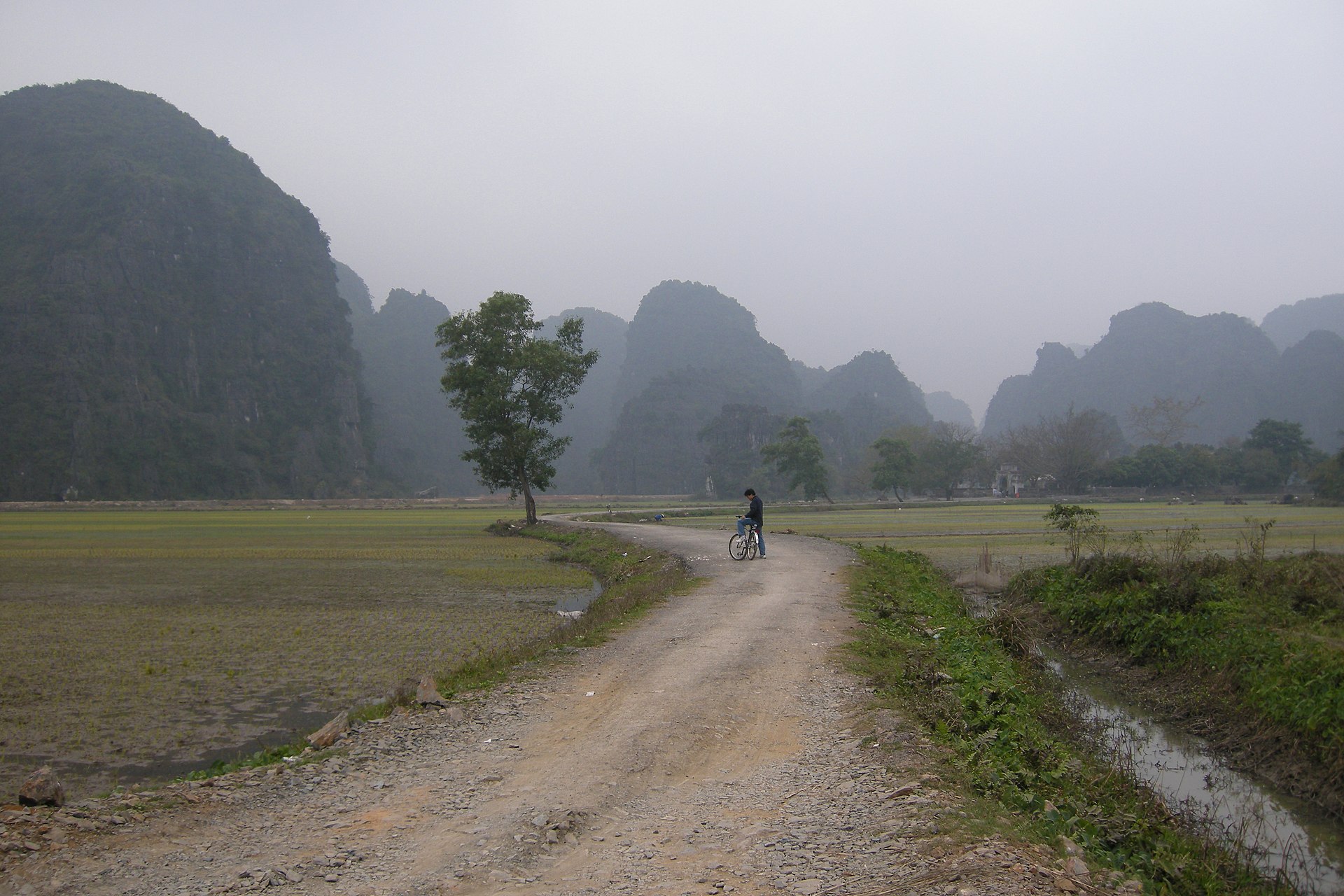 Limestone karst rising over the rice fields of Ninh Binh